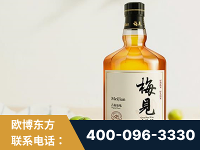 曲阜-梅见青梅酒